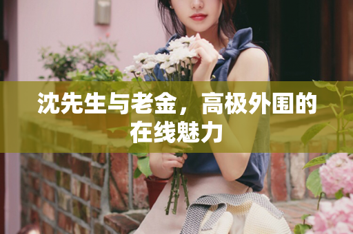 沈先生与老金，高极外围的在线魅力